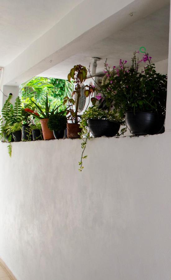 Appartement Casa Mar à Playa del Carmen Extérieur photo